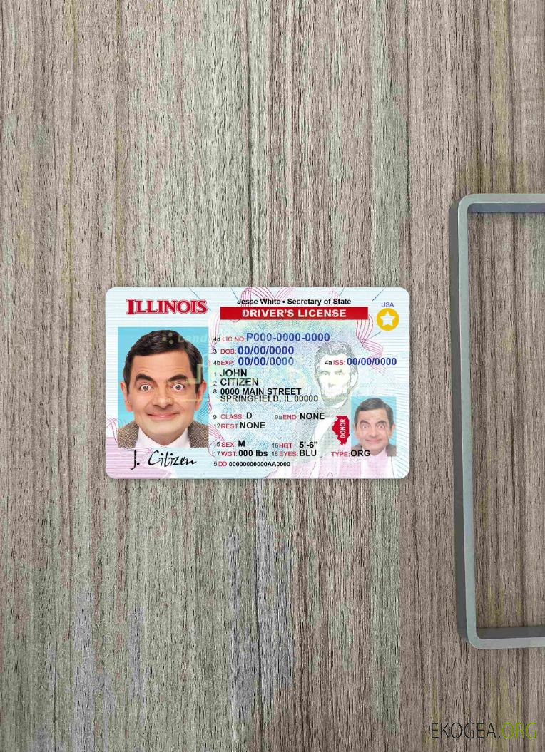 USA Illinois DL photolook AVANT